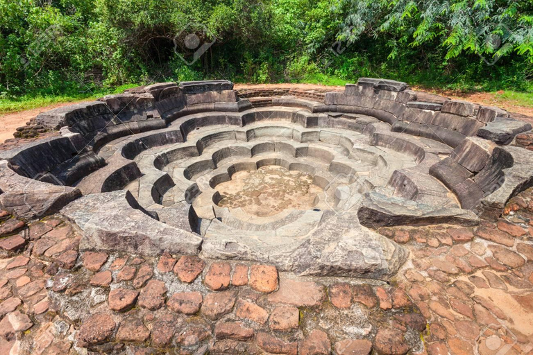 Polonnaruwa Ancient City & Safari Tour