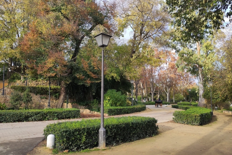 Secretos del Parque de María Luisa y Plaza de España.Tour privado en español