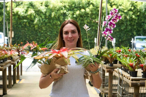 Medellín; Aventura pelo Oriente, Aldeias Mágicas, Orquídeas e Paisagens