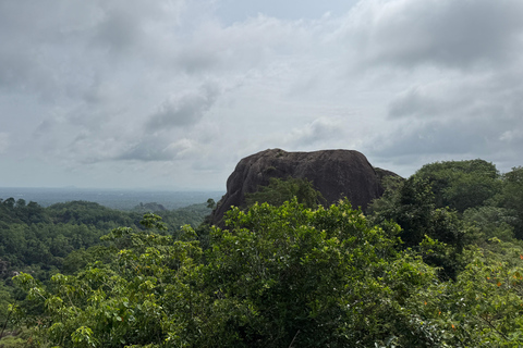 From Colombo: Cave Temples, Jungle Trek & Waterfall Swim