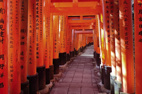 Maizuru: Shore Excursion for Cruise Guests（Private/Group） Litinerary A: Kyoto City Tour(small group)