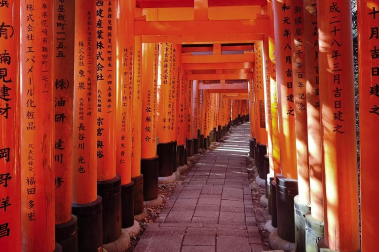 Maizuru: Shore Excursion for Cruise Guests（Private/Group） Litinerary A: Kyoto City Tour(small group)