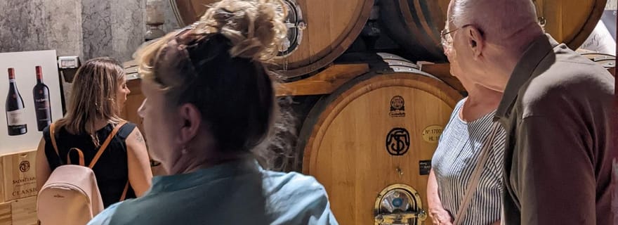 Depuis le lac de Garde : Excursion guidée avec déjeuner et dégustation de vins de Valpolicella