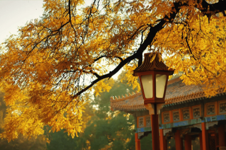 Beijing Imperial Academy & Confucian Temple Ticket