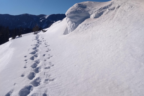 Wien: 2-tägige Alpen-Wanderung mit Tourguide und Transfer