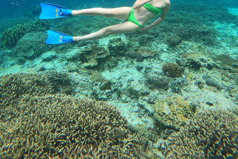 3 Gilis Snorkeling Tour Start Gili Air