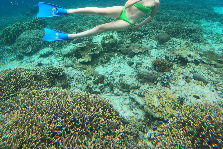 3 Gilis Snorkeling Tour Start Gili Air
