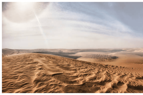 Doha: Safari por el desierto con paseo en camello y Sandboarding