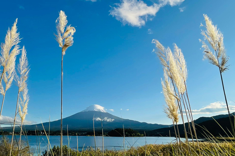 Tokyo: Mt Fuji&Chureito Pagoda&Lake Kawaguchi&Oshino Hakkai Free Karaage Chicken Set | 8AM Tokyo Station Departure
