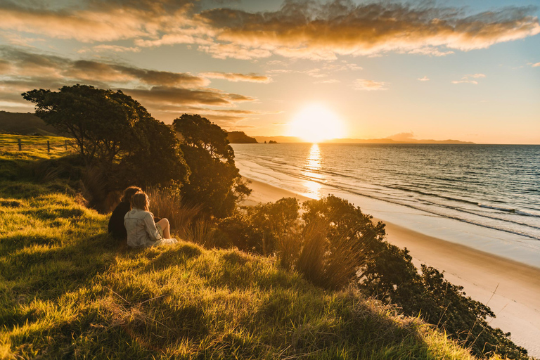 Auckland: Coromandel Peninsula Ferry and Bus Transfer 7:00pm One Way Coromandel to Auckland Ferry & Bus Transfer