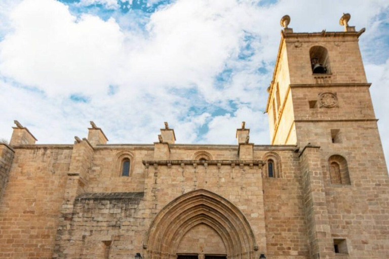 VISITA GUIADA CONCATEDRAL