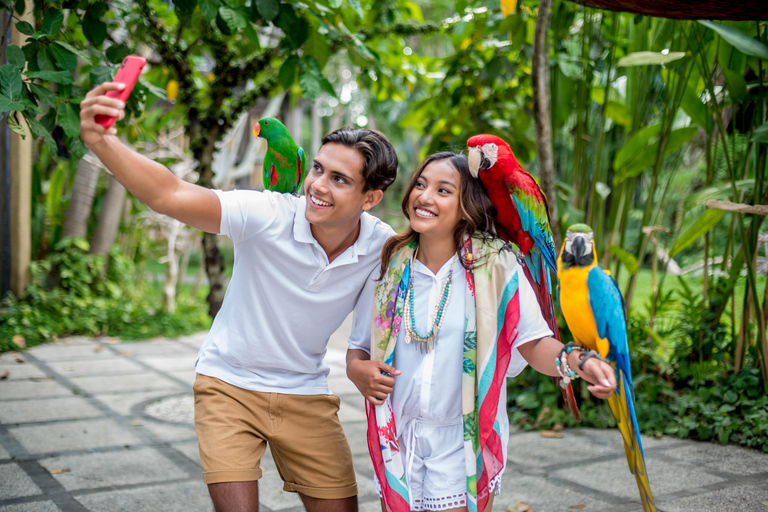 Parque de aves de Bali: ticket de un día