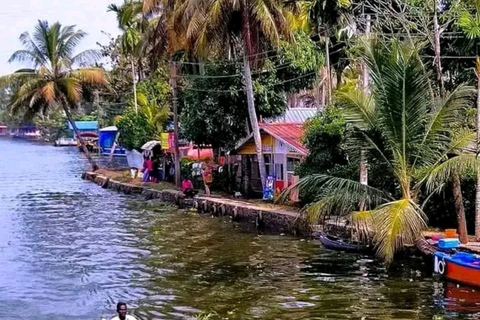 Alleppey: Cruzeiro pelas águas das costas em Shikkara