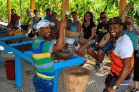 Kulturell rundtur för liten grupp Besök Basilica Higuey