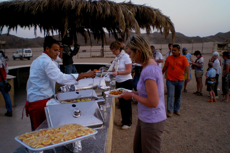 Marsa Alam: Sand Buggy Adventure with Camel Ride & Dinner