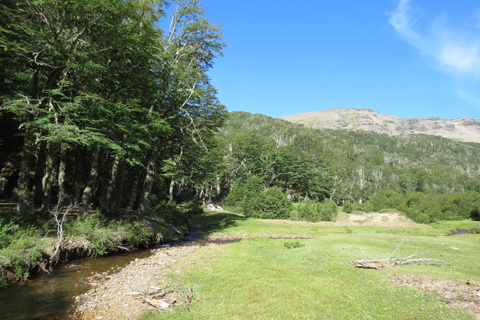 San Martin de los Andes Sightseeing Tour: Mallin Grande