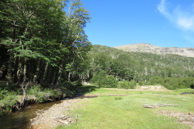 San Martin de los Andes Sightseeing Tour: Mallin Grande