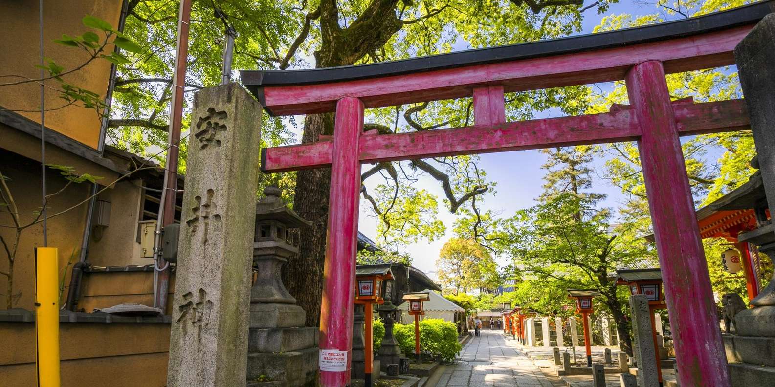 Kyoto experience — temples, geisha, bamboo grove — image 5