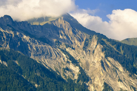 Excursão a Brienz, Iseltwald e Cataratas de GiessbachExcursão a Brienz, Iseltwald e às Cataratas de Giessbach