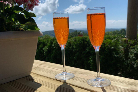 Ljubljana: Wine tasting tour