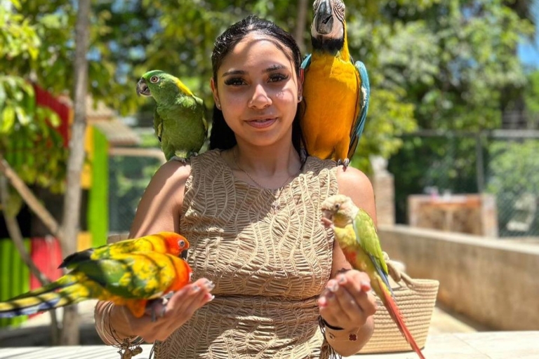 Vögel und Cannabis Farm Private TourVon Montego Bay