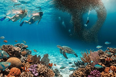 Cebu: Oslob Whale Shark and Moalboal Snorkeling Tour - Image 3