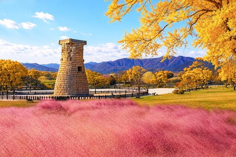 Gyeongju Pink Muhly & Autumn Maple Tour from Busan - Image 2