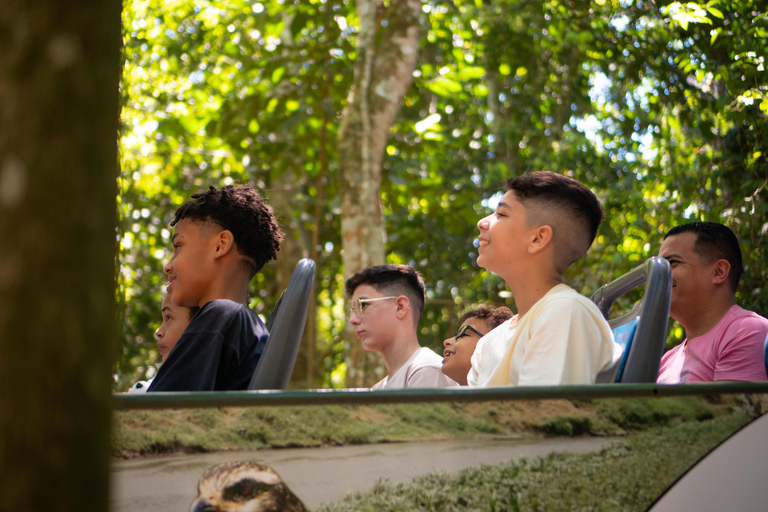 Wodospady Iguassu: Wodospady Iguassu we wszystkich wymiarach