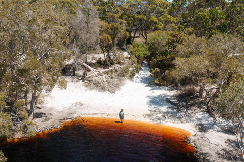 Brisbane: North Stradbroke Island First Nations Day Tour