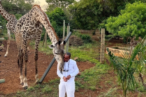 SHARE A MEAL WITH GIRAFFES