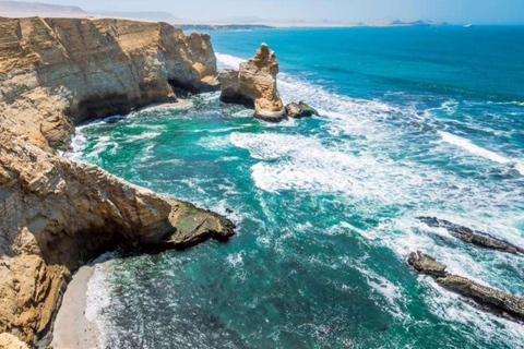 Visite d'une jounée Paracas Ballestas Islands, City Tour Ica Tubular