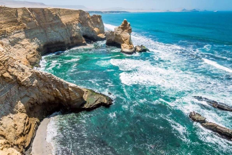 Full Day Paracas Ballestas Islands, City Tour Ica Tubular