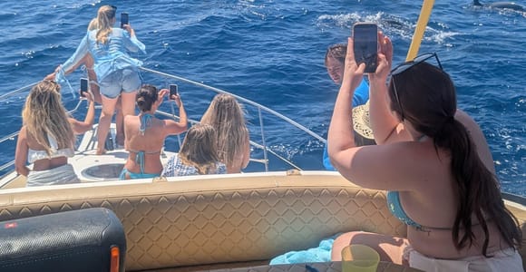 Fuengirola : 2 hours LUXURY Yacht Dolphin Trip DRINKS SNACKS