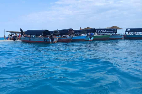 Zanzibar: Stone Town och Prison Island Guidad halvdagsutflykt.