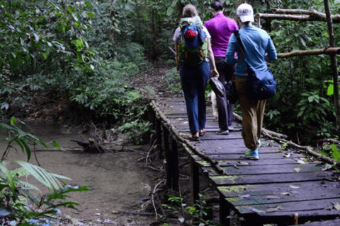 San Cristobal : 5 jours d&#039;aventure dans la jungleCabine avec salle de bain partagée à l&#039;extérieur de la jungle