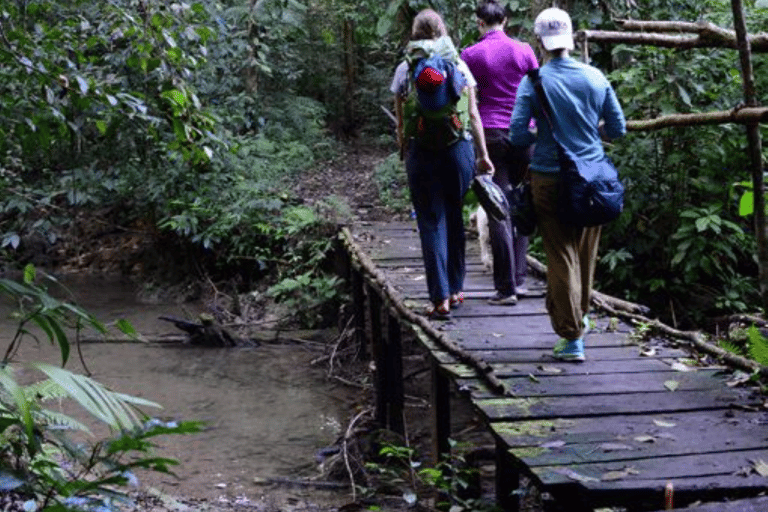 San Cristobal: 5 Days Jungle AdventureShared bathroom cabin outside the jungle