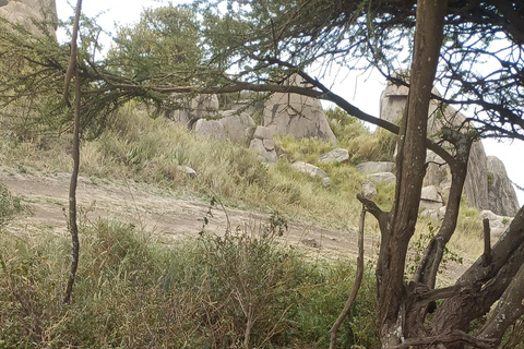 From Zanzibar: 2 days Tanzanian Game Safari (Mikumi park) Private 3days 2nights by boat (very chilling trip)