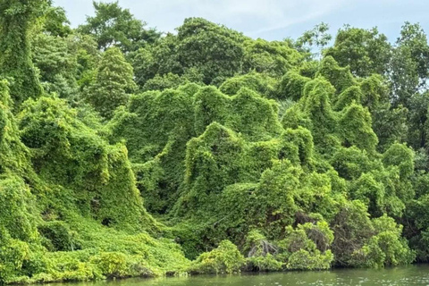 All-Inclusive Galle Dutch Fort, Koggala Lake & Kayak Tour From Tangalle: Galle Dutch Fort, Koggala Lake & Kayak