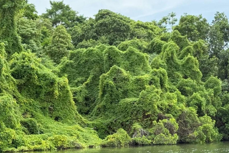 All-Inclusive Galle Dutch Fort, Koggala Lake & Kayak Tour From Tangalle: Galle Dutch Fort, Koggala Lake & Kayak