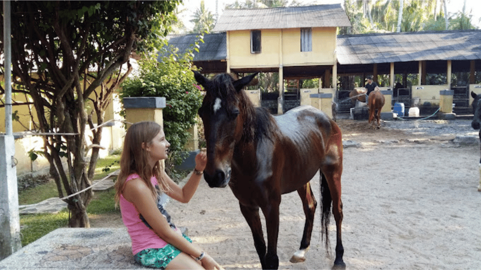 Ubud 1 Hour Beach Horse Riding with Transfer GetYourGuide
