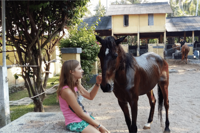 Ubud: 1 Hour Countryside Beach Horse Riding with Transfer Ubud: 1 Hour Countryside Horse Riding with Rice Field View