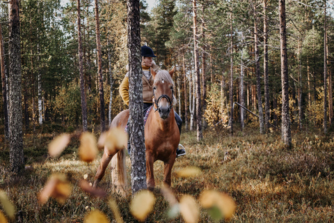 Rovaniemi : Tour d&#039;équitation avec des chevaux finlandais au SCV