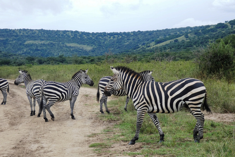 Au départ de Kigali : Safari de 2 jours dans le parc national de l&#039;Akagera avec bateau