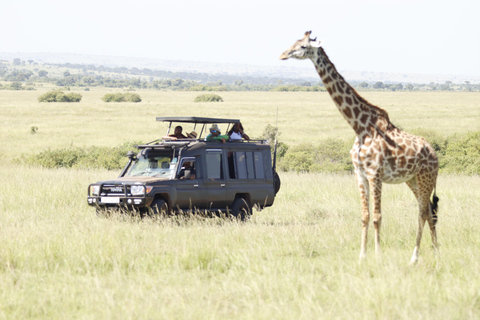 Viaggio di un giorno da Nairobi a Maasai Mara - AWNairobi: Escursione di un giorno nella Riserva Nazionale di Maasai Mara - Privato
