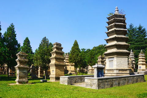 Tour privato: Grotte di Longmen, Tempio Shaolin e spettacolo di KungfuPick up da Zhengzhou: Guida in inglese Tour di un giorno tutto incluso