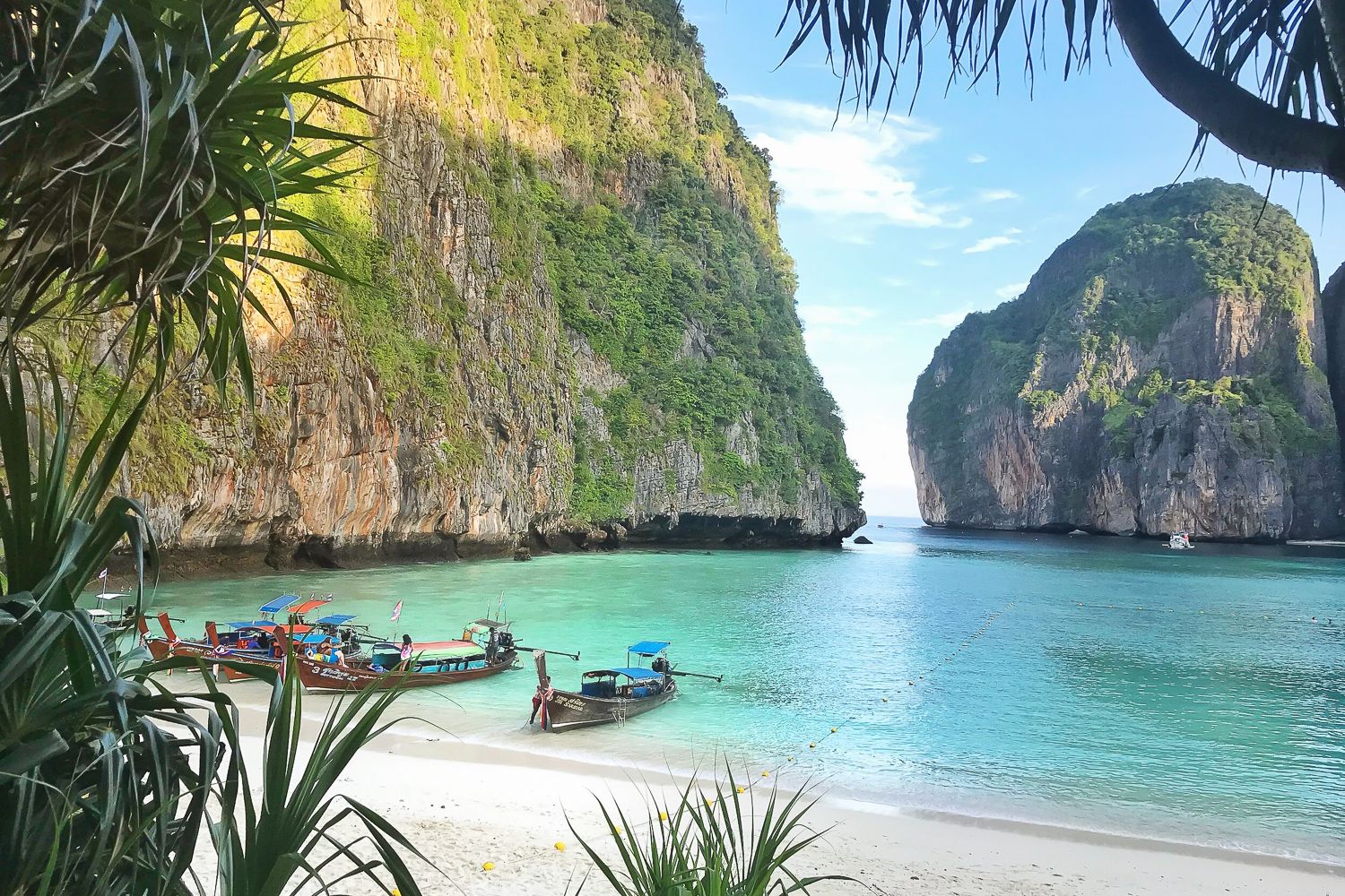 Von Phuket oder Khao Lak: Phi Phi Islands Early Bird Tour