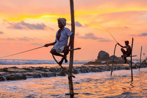 Verken de zuidelijke kust van Sri Lanka met Mr.Scooter($40)