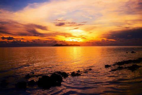 Kota Kinabalu: Bongawan River Cruise, Fireflies with Dinner Shared Cruise and Entry Ticket with Pickup