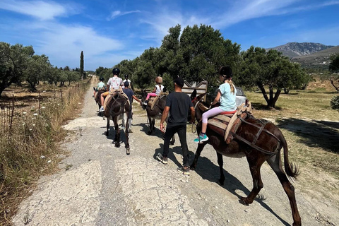 Paseo en burro - País cretenseDNK: Paseo en burro - País cretense