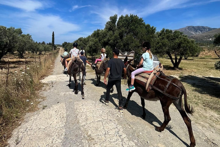 Donkey Ride - Cretan CountryDNK: Donkey Ride - Cretan Country